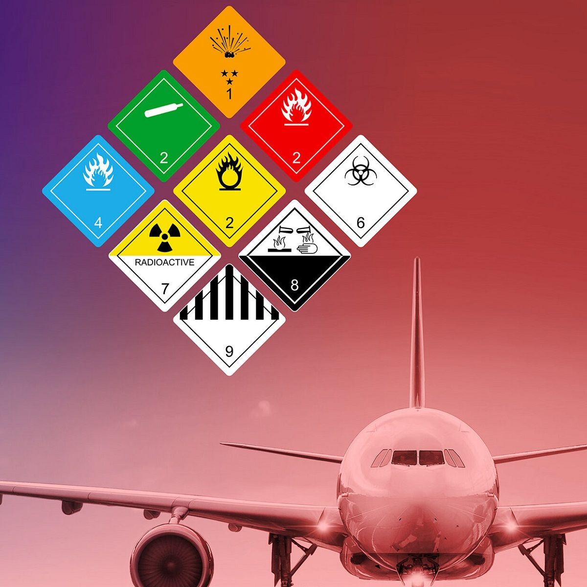 DGR Tehlikeli Maddeler Function 7.7 Temel Eğitimi (Uçuş Ekibi/ Pilot)